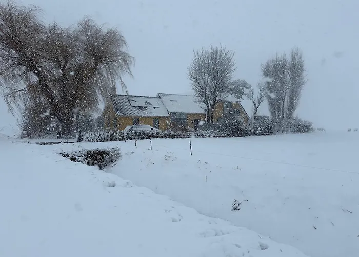 De Danser 2 Klaaswaal